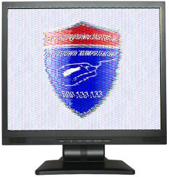 Serwis monitorw LCD i CRT w Olsztynie